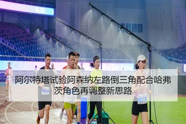 a-er-te-ta-shi-yan-a-sen-na-zuo-lu-dao-san-jiao-pei-he-ha-fu-ci-jue-se-zai-tiao-zheng-xin-si-lu-1-371.jpg